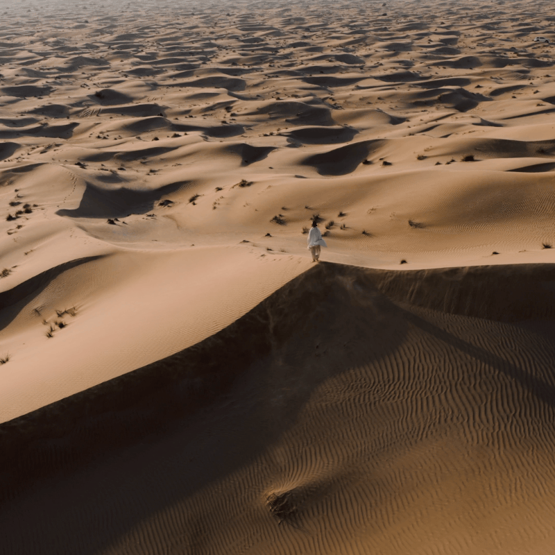 DJI Cinematic Luts Dlog