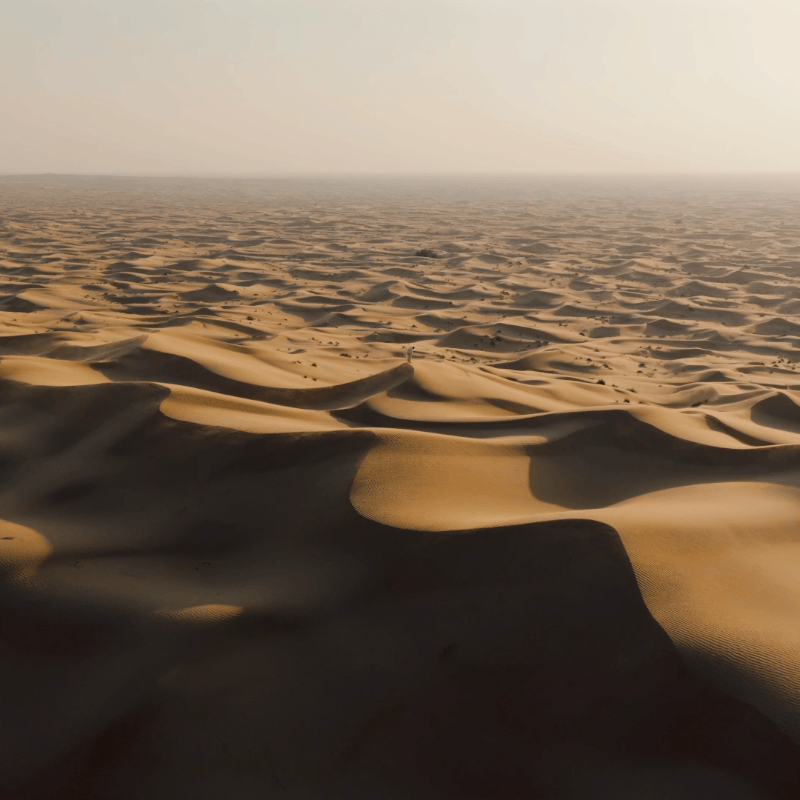 DJI Cinematic Luts Dlog